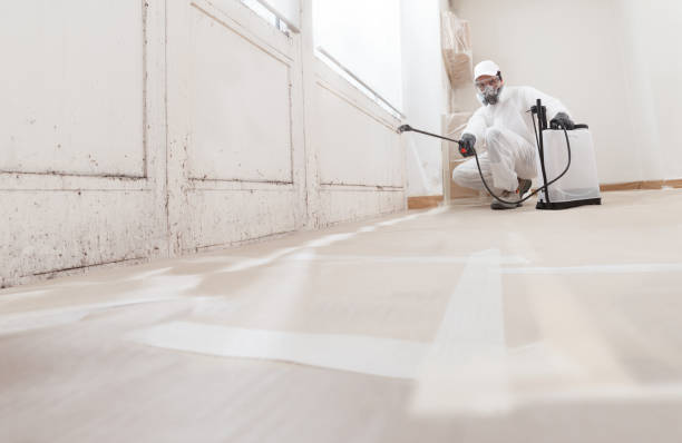 24/7 Emergency Mold Remediation experts in Connerton, FL