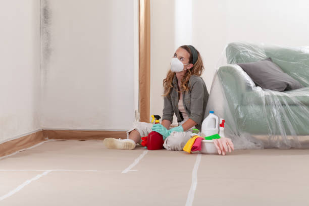 Reliable Mold Remediation contractor in Connerton, FL by 24 Hour Mold Removal